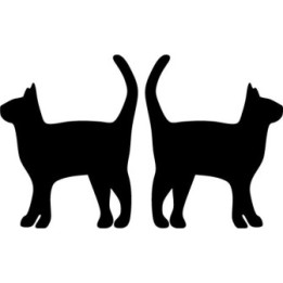 Buy Cat Excited Vinyl Decal Sticker Online