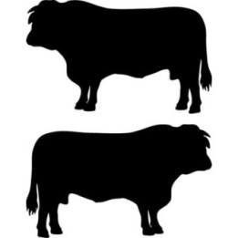 Cattle Stickers – Cow Bull Farm Animal Decals (2-Pack)