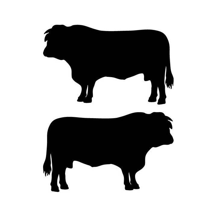 Cattle Stickers – Cow Bull Farm Animal Decals (2-Pack)