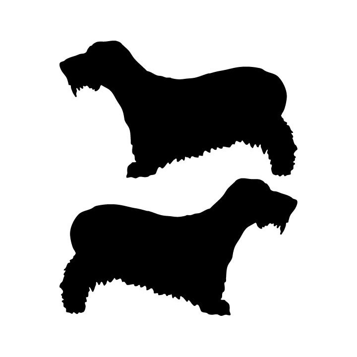 Buy Cesky Terrier Dog Sticker Online