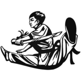 Kung Fu Martial Arts Stickers – Fighter Decals (2-Pack)