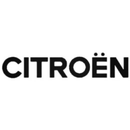 Buy Citroen S 02 Vinl Car Graphics Decal Sticker Online