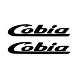 Buy Cobia Style Boat Kit Vinyl Decal Sticker Online