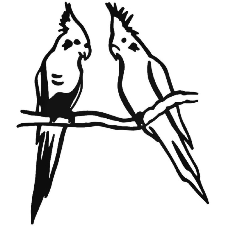 Buy Cockatiel Bird Sticker Online