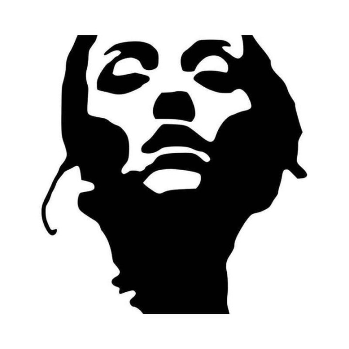 Converge Jane Doe Stickers – Hardcore Metal Decals (2-Pack)