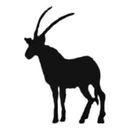 Buy Cool Antelope Decal Sticker Online