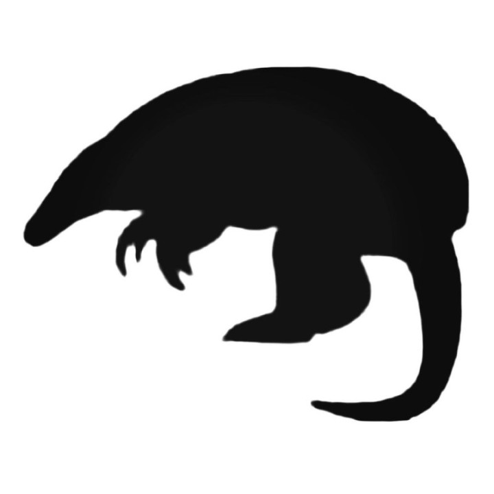 Buy Cool Armadillo Decal Sticker Online