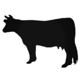 Cow Stickers – Farm Animal Silhouette Decals (2-Pack)