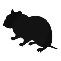 Buy Cool Hamster Decal Sticker Online