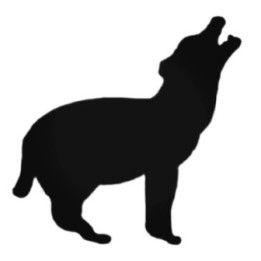 Buy Coyote Howling Decal Sticker Online