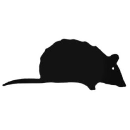 Buy Creeping Mouse Decal Sticker Online