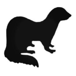 Buy Curious Ferret Decal Sticker Online