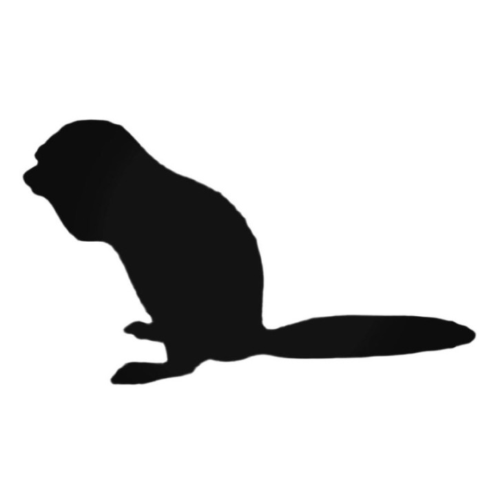 Buy Cute Ferret Decal Sticker Online