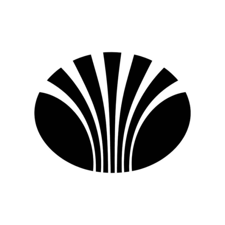 Buy Daewoo Logo Plein Vinyl Decal Sticker Online