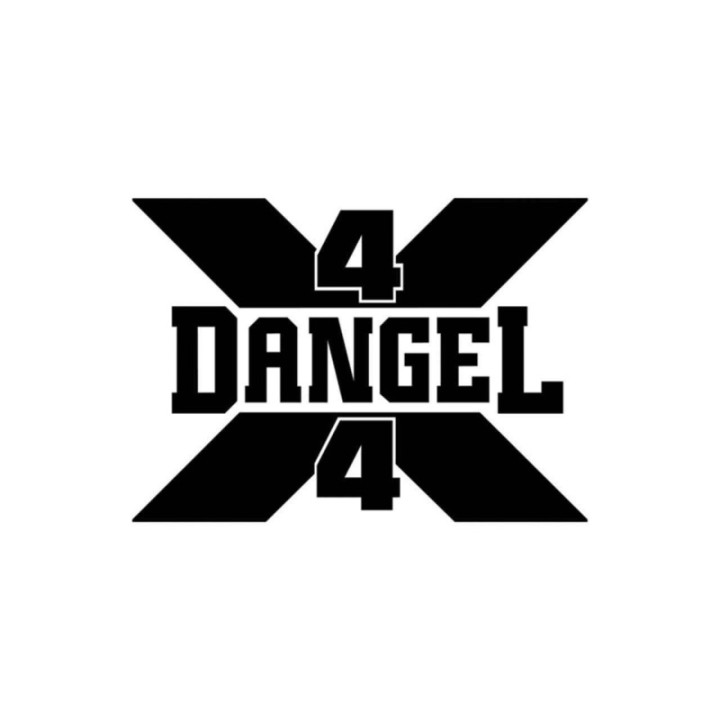 Buy Dangel 4x4 Logo Vinyl Decal Sticker Online