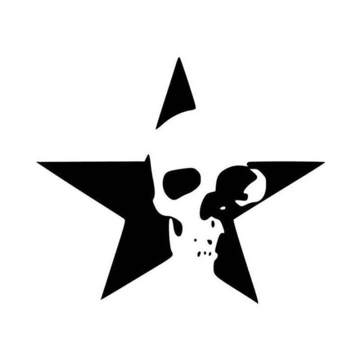 Skull Star Stickers – Gothic Biker Skull Decals (2-Pack)