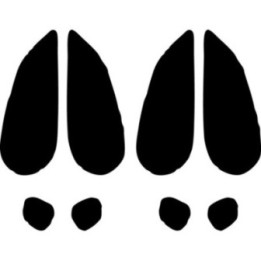 Deer Footprints Stickers – Wildlife Hunting Track Decals (2-Pack)
