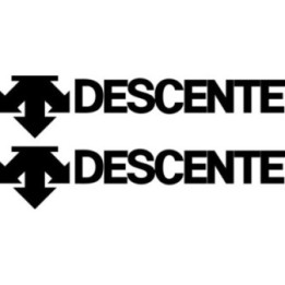 Descente Stickers – Ski Cycling Winter Sports Decals (2-Pack)