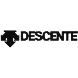 Descente Stickers – Ski Snowboard Athletic Decals (2-Pack)