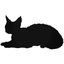 Buy Devon Rex Cat Sticker Online