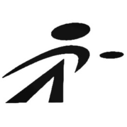 Buy Disc Golf V1 Decal Sticker Online