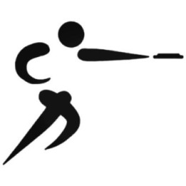 Buy Disc Golf V3 Decal Sticker Online