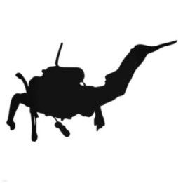 Buy Distyle Decal Sticker Online