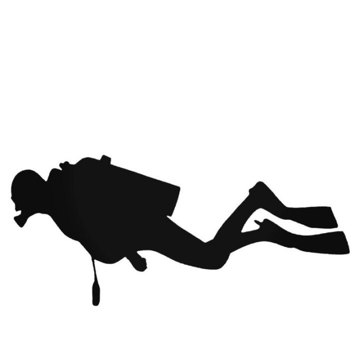 Buy Distyle Plunges Decal Sticker Online