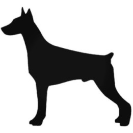Buy Doberman Dog 1 Sticker Online