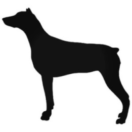 Buy Doberman Stdw Guard Dog Decal Sticker Online