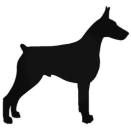Buy Doberman Stdw Style 3 Guard Dog Decal Sticker Online