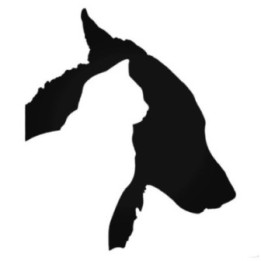 Buy Dogs And Cats Pets Decal Sticker Online