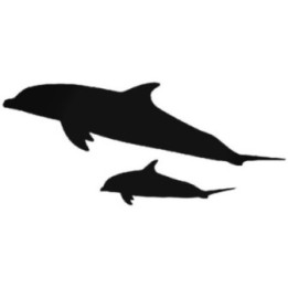 Dolphin & Calf Stickers – Ocean Wildlife Decals (2-Pack)
