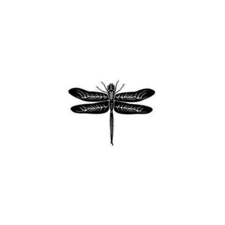 Buy Dragonfly Style 4 Decal Sticker Online