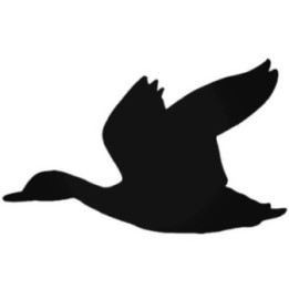 Buy Duck 1 Sticker Online