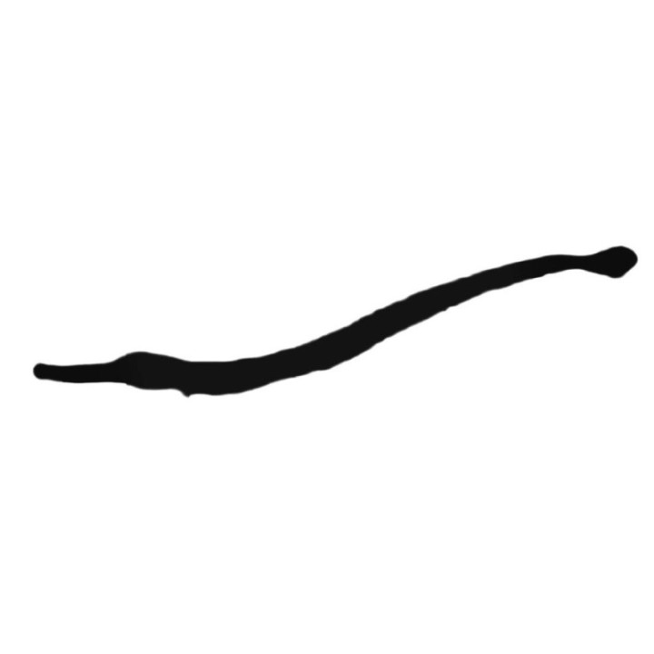 Eel Stickers – Moray Sea Life Decals (2-Pack)