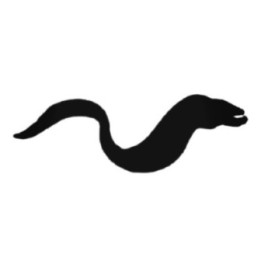 Eel Stickers – Moray Eel Silhouette Decals (2-Pack)