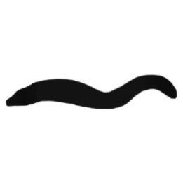 Eel Silhouette Stickers – Marine Animal Decals (2-Pack)