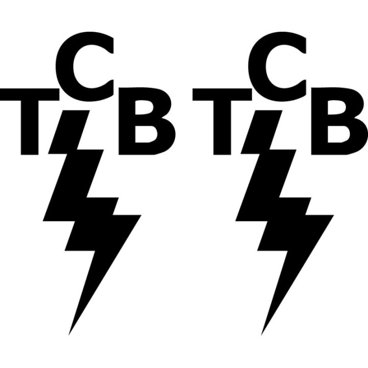 Elvis TCB Lightning Bolt Stickers – Taking Care of Business (2-Pack)