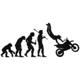 Buy Evolution Of Motocross Racing Sticker Online