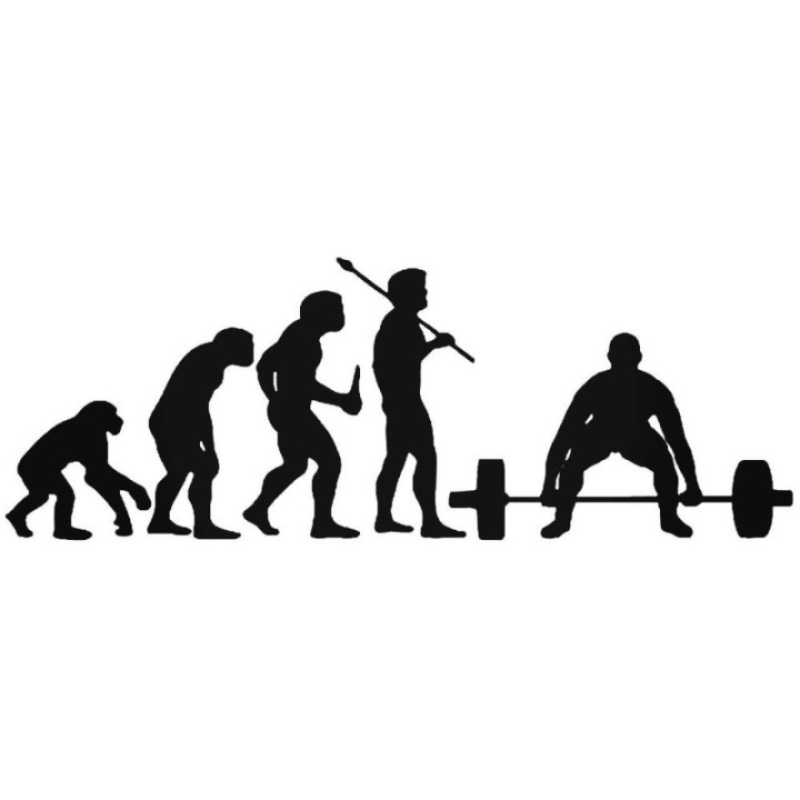Buy Evolution Of Weight Lifting Sticker Online