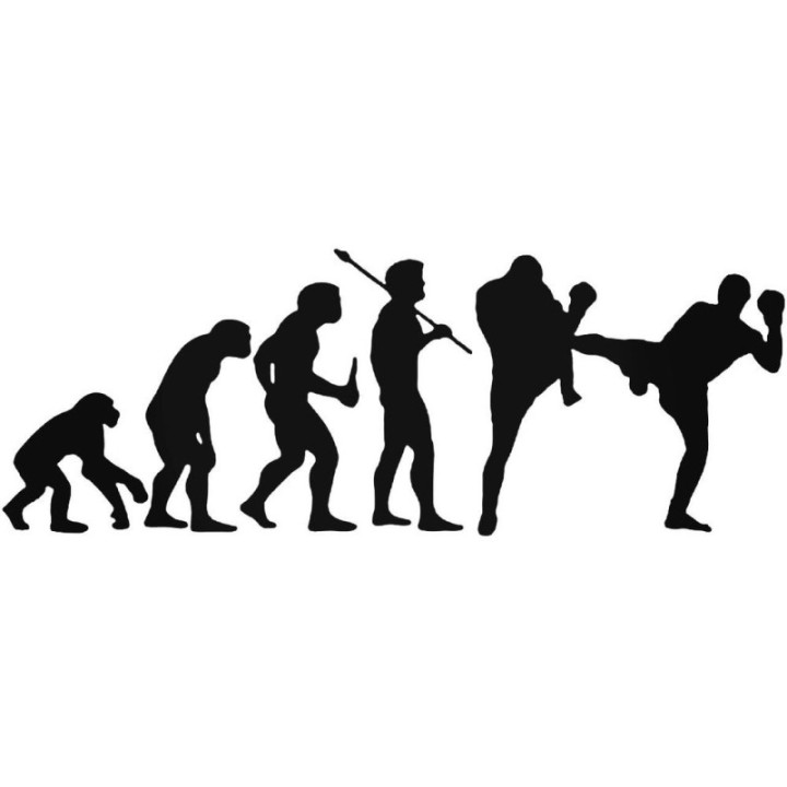 Buy Evolution S Kickboxing Evolution Decal Online