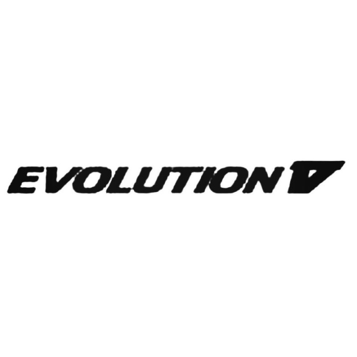 Buy Evolution V Decal Sticker Online