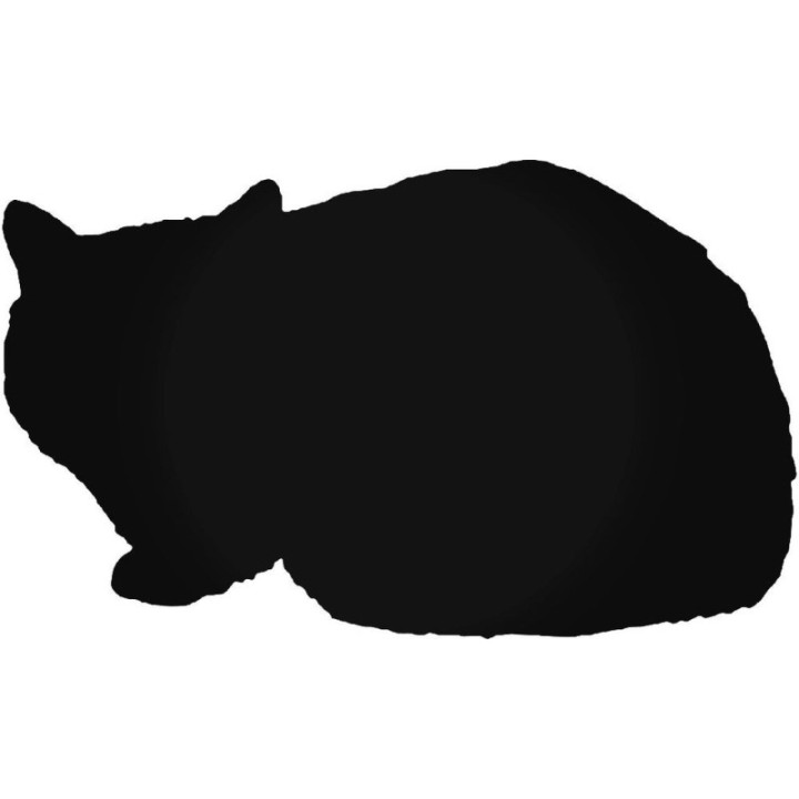 Buy Exotic Shorthair Cat Decal Sticker Online