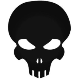 Skull Stickers – Tactical Punisher Style Decals (2-Pack)