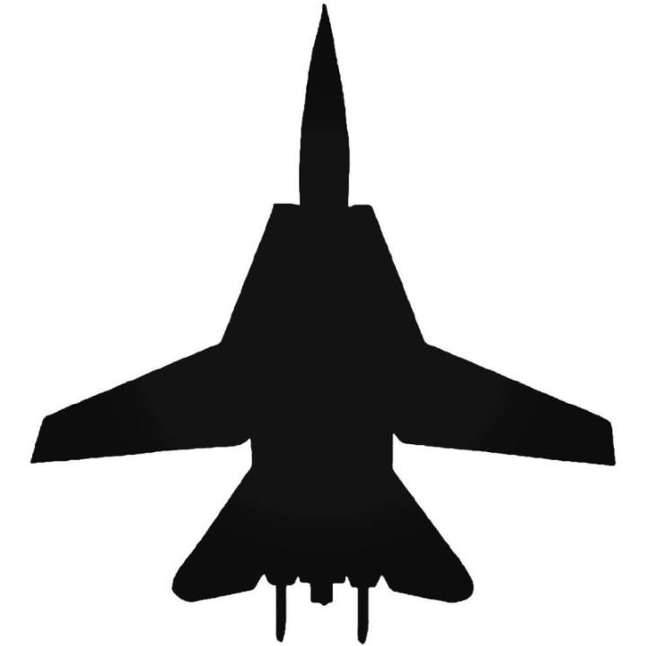 Buy F 14 Tomcat Gruman Fighter Jet Sticker Online