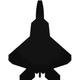 Buy F 22 Raptor Fighter Jet Sticker Online