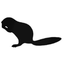 Buy Ferret Eating Decal Sticker Online