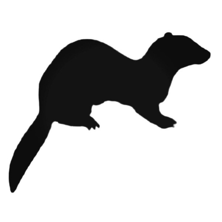 Buy Ferret On Four Feet Decal Sticker Online