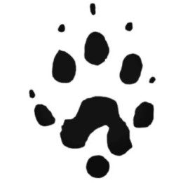 Buy Ferret Paw Print Foot Track Decal Sticker Online